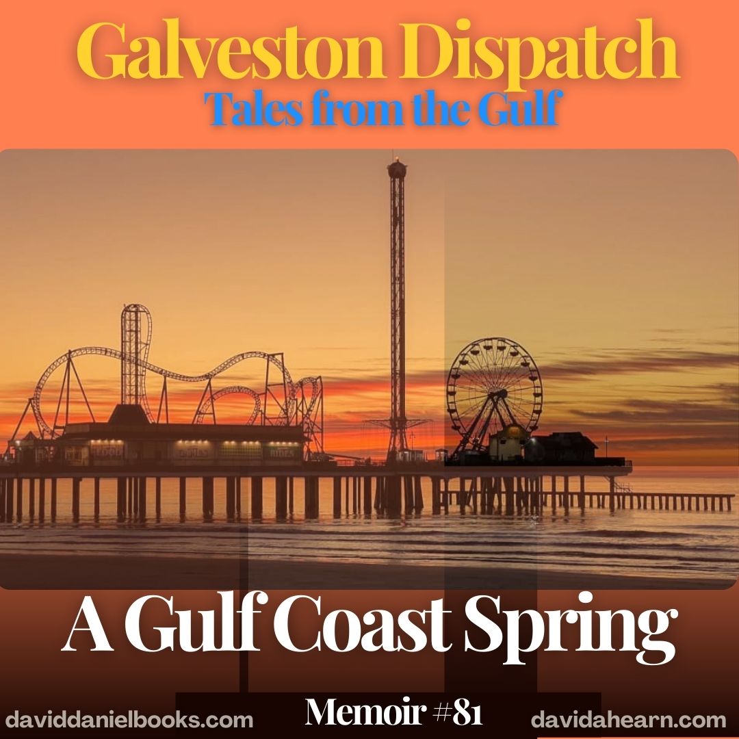 Galveston Dispatch A Gulf Coast Spring David Daniel Books