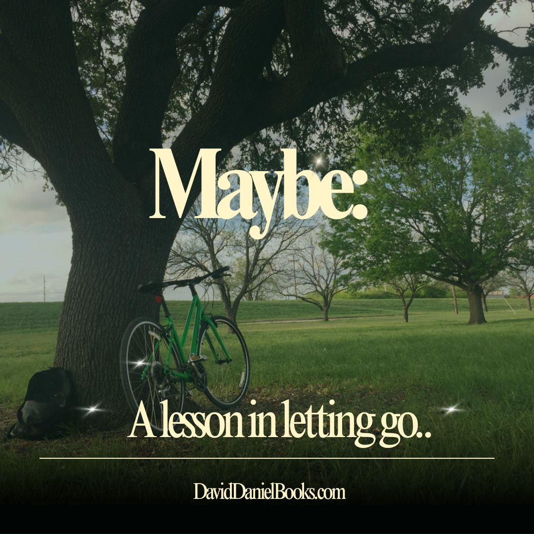 Maybe: A Lesson in Letting Go - David Daniel Books